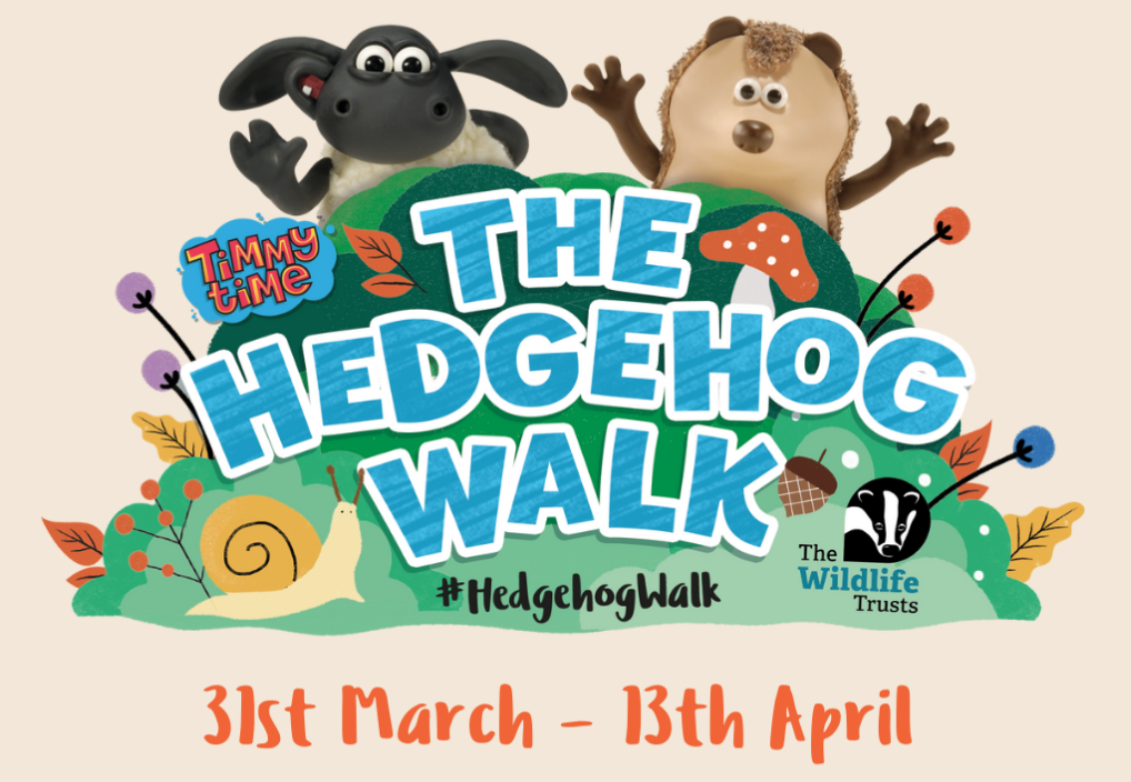 Take part in this years Hedgehog Walk with The Wildlife Trust 